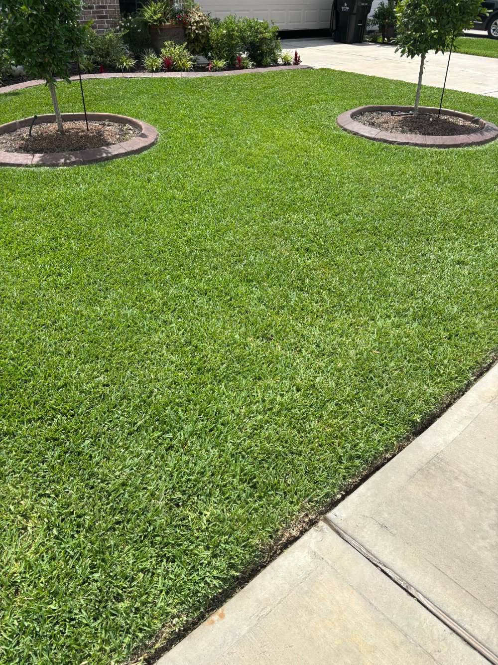 Neatly mulched beds and tree rings in a healthy Houston landscape
