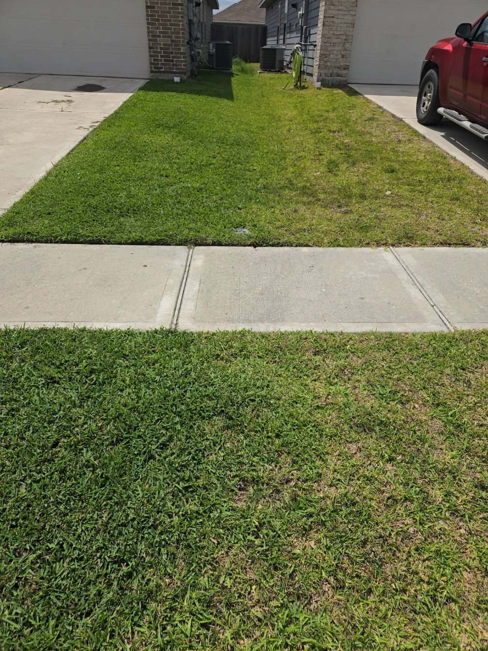 Side-by-side yards: a deep green Thrive-treated lawn next to an untreated neighbor's thinner, patchy grass