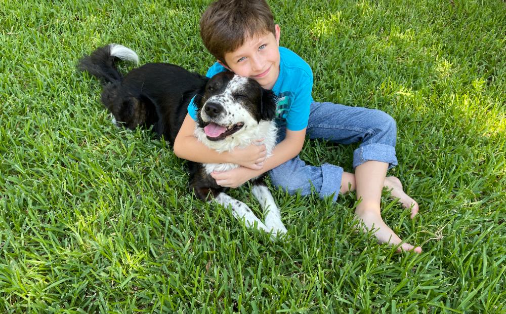 A barefoot child hugging the family dog on a thick, organically fed lawn
