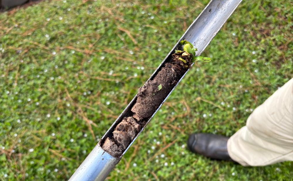 A soil probe core pulled from a Houston lawn, showing the clay profile and root depth