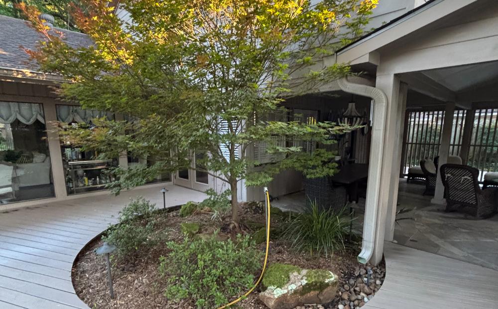 Feed line running to a mature Japanese maple set in a deck-side planting bed