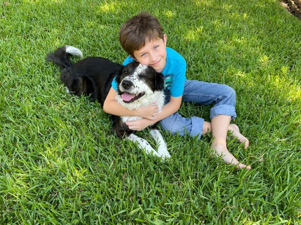 A child and a dog playing on a healthy organic Houston lawn
